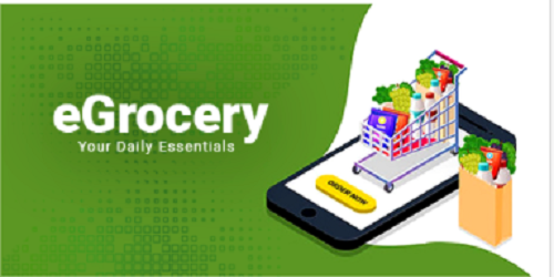 E-Grocery